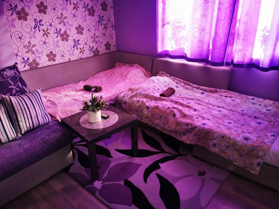 Apartment Lavender, Near To Airport 索菲亞 外观 照片